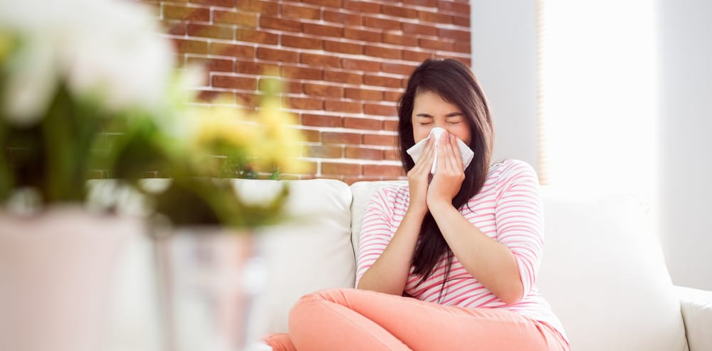get rid of allergies in house