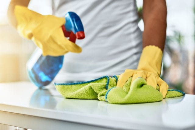Importance of Regular Cleaning